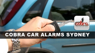 The Most Significant and Contemporary Vehicle Security Devices
