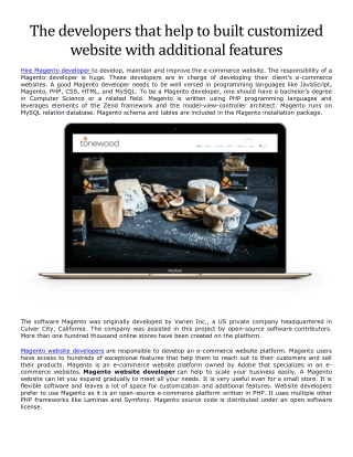 The developers that help to built customized website with additional features