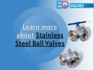 Stainless Steel Ball Valves- EG Valves