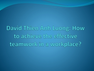David Thien Anh Luong How to achieve the effective teamwork in a workplace?