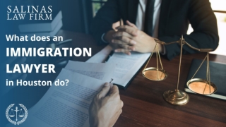 What Does An Immigration Lawyer In Houston Do