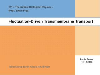 Fluctuation-Driven Transmembrane Transport