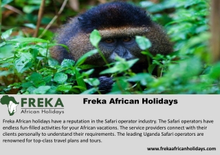 Golden Monkey Trekking in Rwanda