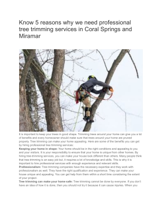 Know 5 reasons why we need professional tree trimming services in Coral Springs and Miramar