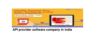 API provider software company in india