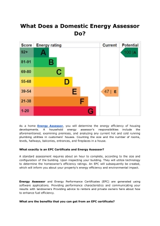 What Does a Domestic Energy Assessor Do.pdf