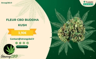 FLEUR CBD BUDDHA KUSH- STRONGCBD.FR