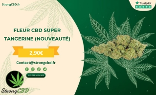FLEUR CBD SUPER TANGERINE (NOUVEAUTÉ) - STRONGCBD.FR