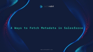 4 Ways to Fetch Metadata in Salesforce | Salesforce Metadata