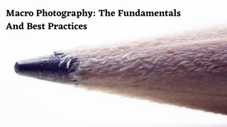 Macro Photography: The Fundamentals And Best Practices by Mohit Bansal Chandigar