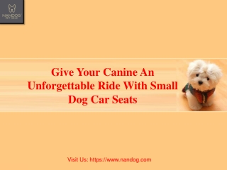 Give Your Canine An Unforgettable Ride With Small Dog Car Seats