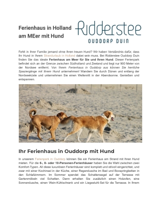 Ferienhaus Holland am Meer mit Hund in Ridderstee