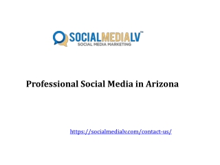 Professional Social Media in Arizona