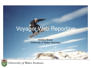 Voyager Web Reporting