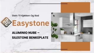 ALUMINIO NUBE – SILESTONE BENKEPLATE