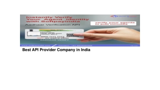 Best API Provider Company in India