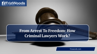 Maryland Criminal Lawyer