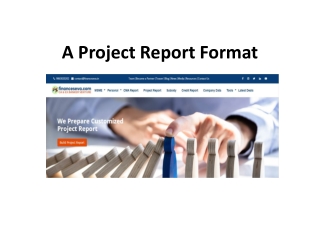 A Project Report Format