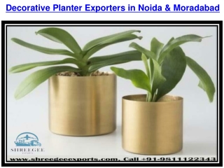 Decorative Planter Exporters in Noida & Moradabad And Home Decorative Products M