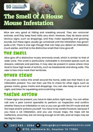 Houston Mouse Control | commercial Pest Control Houston