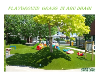 Playground Grass in Abu Dubai