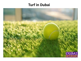 Turf in Dubai