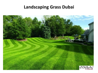 Landscaping Grass Dubai