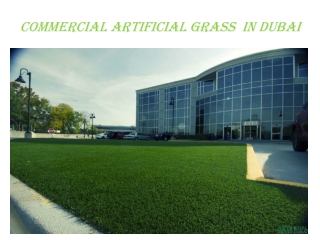 Commercial artificial Grass in Dubai