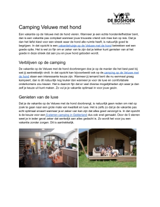 Camping Veluwe met hond