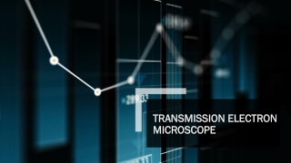 Transmission Electron Microscope