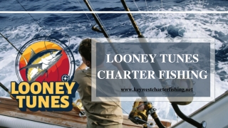 Everything You Need to Know Sailfish - Looney Tunes Charter Fishing