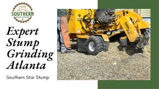 Expert Stump Grinding Atlanta