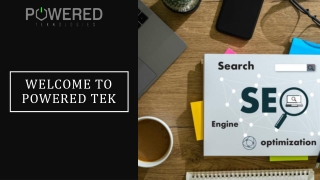 Best Companies in Florida for SEO Services