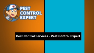 Pest Control & Exterminator Services - Pest Control Expert