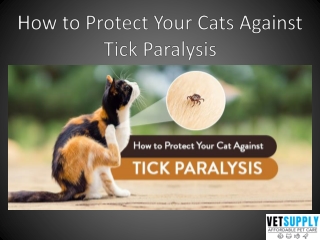 How to Protect Your Cats Against Tick Paralysis