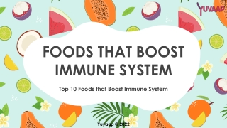 Foods That Boost the Immune System