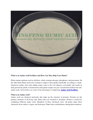 What is an Amino Acid Fertilizer and How Can They Help Your Plants