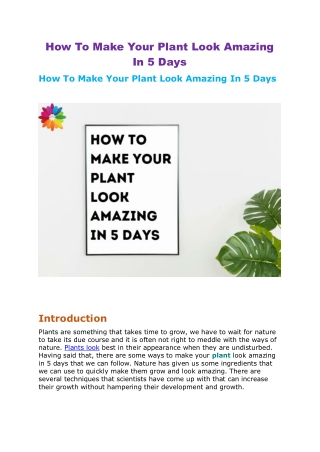 How To Make Your Plant Look Amazing In 5 Days