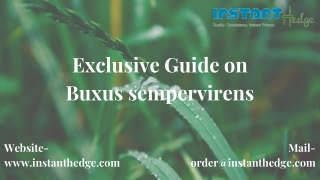 Guide on Buxus sempervirens