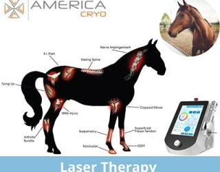 Laser Therapy Treatment - AmericaCryo