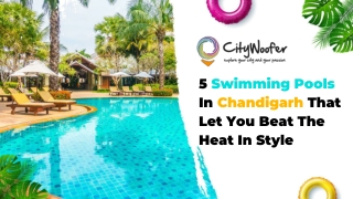 Swimming Pools In Chandigarh That Let You Beat The Heat In Style