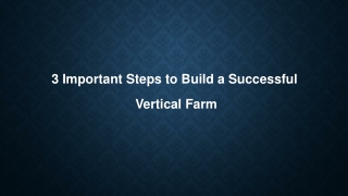 3 Important Steps to Build a Successful