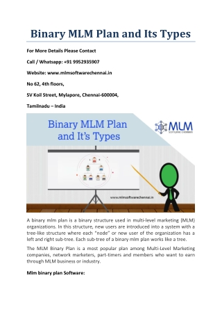 Binary MLM Plan and Its Types