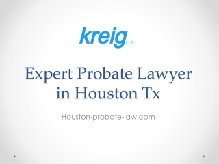 Expert Probate Lawyer in Houston Tx - Kreig LLC