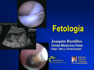 Joaqu í n Bustillos Unitat Medicina Fetal Dept. Obs y Ginecologia