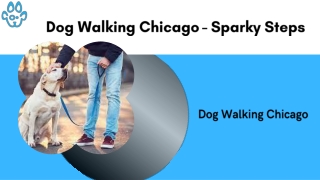 Dog Walking Chicago - Sparky Steps