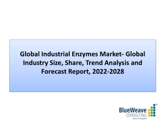 Industrial Enzymes Market Insight, Forecast 2022-2028