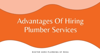 Advantages of Hiring Plumber Services