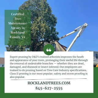 Certified Tree Maintenance Agency in Rockland County NY