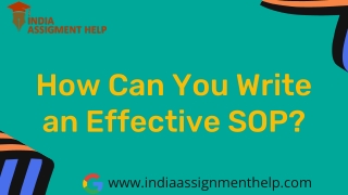 How Can You Write an Effective SOP